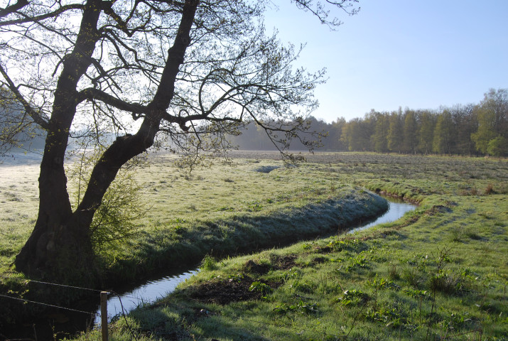 Fototoestel leeg 038